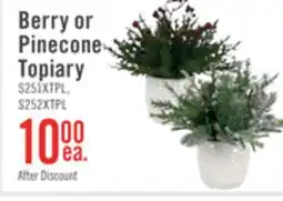 The Brick Berry or Pinecone Topiary offer