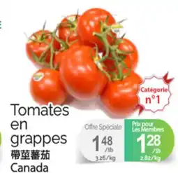 T&T Supermarket TOMATES EN GRAPPES offer