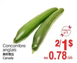 T&T Supermarket CONCOMBRE ANGLAIS offer