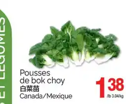 T&T Supermarket POUSSES DE BOK CHOY offer