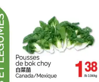 T&T Supermarket POUSSES DE BOK CHOY offer