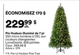 Michaels Pin Hudson illuminé de 7 pi offer