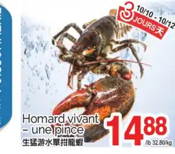 T&T Supermarket HOMARD VIVANT -UNE PINCE offer
