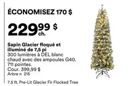 Michaels Sapin Glacier floqué et illuminé de 7,5 pi offer