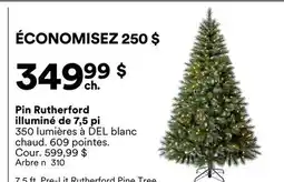 Michaels Pin Rutherford illuminé de 7,5 pi offer