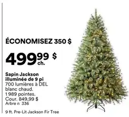 Michaels Sapin Jackson illuminée de 9 pi offer