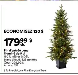 Michaels Pin d'entrée Luna illuminé de 5 pi offer