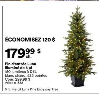 Michaels Pin d'entrée Luna illuminé de 5 pi offer