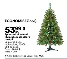 Michaels Épinette Lakewood illuminée multicolore de 4 pi offer