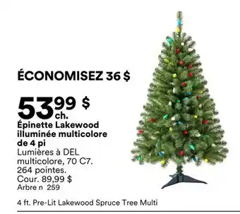 Michaels Épinette Lakewood illuminée multicolore de 4 pi offer