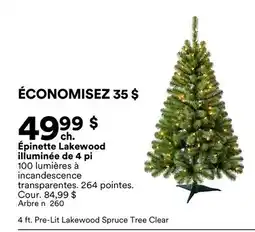Michaels Épinette Lakewood illuminée de 4 pi offer