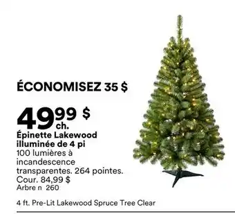 Michaels Épinette Lakewood illuminée de 4 pi offer