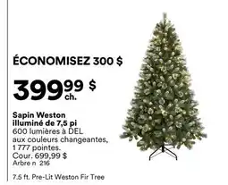 Michaels Sapin Weston illuminé de 7,5 pi offer