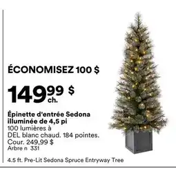 Michaels Épinette d'entrée Sedona illuminée de 4,5 pi offer