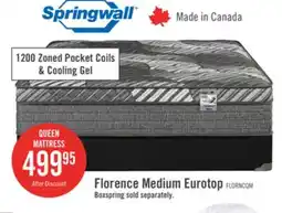 The Brick Springwall Florence Eurotop Medium Queen Mattress offer