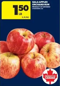 Real Canadian Superstore Gala apples orchard run offer