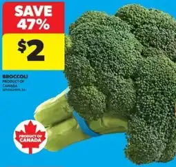 Real Canadian Superstore Broccoli offer