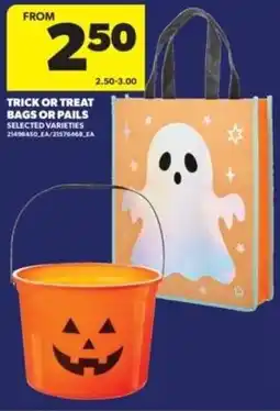 Real Canadian Superstore Trick or treat bags or pails offer
