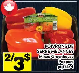 Supermarché PA POIVRONS DE SERRE MÉLANGÉS | Mixed Greenhouse Peppers offer