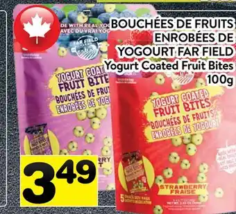 Supermarché PA BOUCHÉES DE FRUITS ENROBÉES DE YOGOURT FAR FIELD | Yogurt Coated Fruit Bites offer