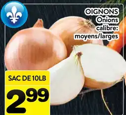 Supermarché PA OIGNONS | Onions offer