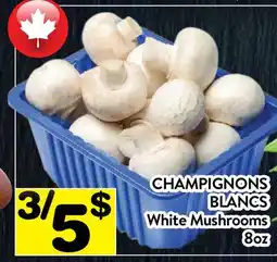 Supermarché PA CHAMPIGNONS BLANCS | White Mushrooms offer