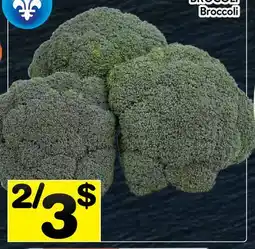 Supermarché PA BROCOLI | Broccoli offer