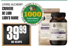 Marches Tau Living Alchemy Criniere De Lion offer