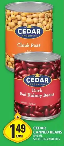 Food Basics Cedar canned beans offer
