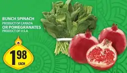 Food Basics Bunch spinach offer