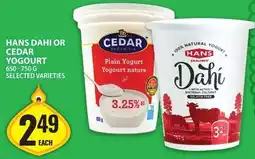 Food Basics Hans dahi or cedar yogourt offer