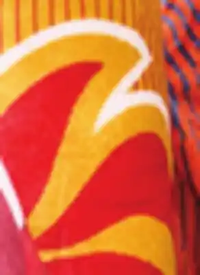 Giant Tiger Blanket offer