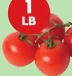 Giant Tiger Tomatoes on the vine offer