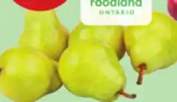 Giant Tiger Bartlett pears offer