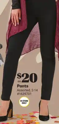 Giant Tiger Pants offer
