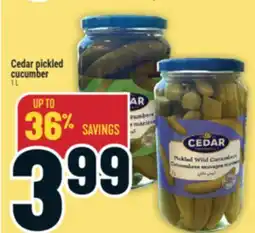 Marché Adonis Cedar Pickled Cucumber offer