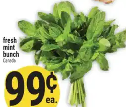 Marché Adonis Fresh mint bunch offer