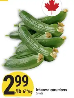 Marché Adonis Lebanese Cucumbers offer
