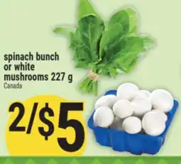 Marché Adonis Spinach Bunch or White Mushrooms offer