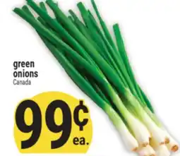 Marché Adonis Green onions offer