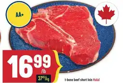 Marché Adonis T-bone beef short loin Halal offer