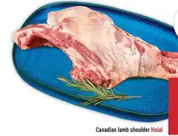 Marché Adonis Canadian lamb shoulder Halal offer