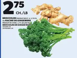 Provigo BROCCOLINI, 2,75 CH. OR GINGER ROOT, 2,75 LB offer