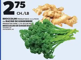 Provigo BROCCOLINI, 2,75 CH. OR GINGER ROOT, 2,75 LB offer