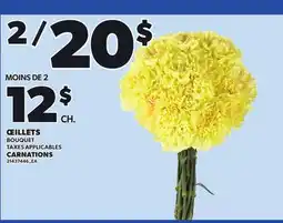 Provigo CARNATIONS offer