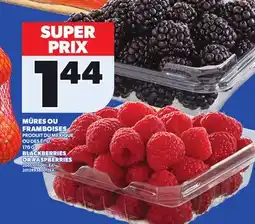 Provigo BLACKBERRIES OR RASPBERRIES, 170 G offer