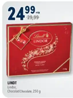 Familiprix LINDT, Chocolate, 250 g offer