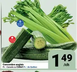 Pasquier Concombre anglais offer