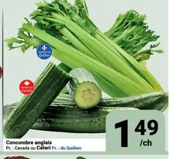 Pasquier Concombre anglais offer