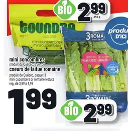 Metro MINI CONCOMBRES | MINI CUCUMBERS offer